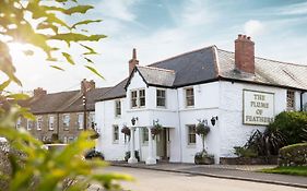 The Plume Of Feathers